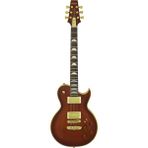 Aria Pro 2 PEF80SBR Elektro Gitar - Kahverengi