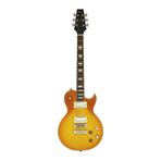 Aria Pro II PE350PGAGLD Elektro Gitar HH RW