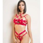 Arias Closet Kırmızı Sütyen Külot Harness Takım