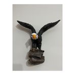 Ariestasarım DUVARA ASMALI KARTAL BİBLO Siyah 35 x 35