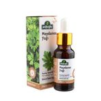 Arifoğlu 20 ml Maydanoz Yağı