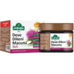Arifoğlu Devedikeni Macunu 300 gr