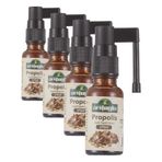 Arifoğlu Propolis Ekstraktı Boğaz Sprey 20ml (4 paketi)