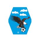 ARIK Kartal Desenli Altıgen Uçurtma + 50mt Ipli