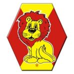 Arık Oyuncak Klasik Uçurtma Çıtalı Altıgen Uçurtma Galatasaray