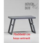 Arısoy Büyük Boy Katlanır Ayak Piknik Sehpa Kamp Masası Plaj Bahçe Balkon Sehpası