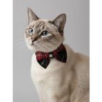 Aristokrat Kedi Papyonu Kurdela Tasma Yılbaşı Noel