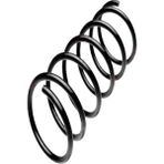 Arka Helezon Yayı Bmw E60 0310 - Sağ