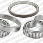 Arka Teker Rulmanı Cıft Teker Master Iıı-movano 2.3cdtı/2.2dcı 10- Snr R14147