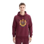 Arma K26254625801 Baskılı 3 İplik Regular Fit Cepsiz Kapüşonlu Kırmızı-K3 Erkek Sweatshirt