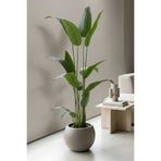 Armada Flora Dekoratif Büyük Yapraklı Yapay Starliçe Strelitzia Krem Minimalist Saksıda