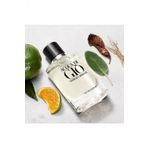 Armani Acqua Di Gio Homme Essanza EDP 75 ml Erkek Parfümü