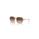 Armani Exchange Güneş Gözlüğü AX4139SU 52 834213