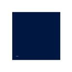 Armine 0010D02T1003 (twill) Düz Boyalı Eşarp
