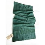 Armine 2-4881 Mint Yeşil Şal