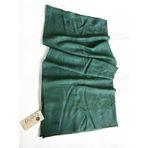 Armine 2-4881 Mint Yeşil Şal
