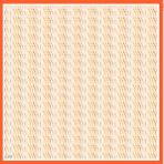 Armine 6086-09 Soft Somon Desenli Eşarp