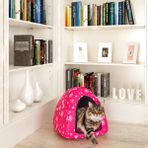 Arnee Su Geçirmez Soğuğa Dayanıklı Mağara Model Kedi ve Köpek Evi Yatağı 33X33X33 cm - Kırmızı