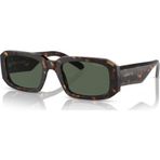 Arnette 0AN4318 12227153 Erkek Güneş Gözlüğü