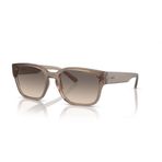 Arnette 0AN4325 290613 54 Erkek Güneş Gözlüğü