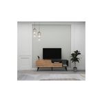 ARNETTİ Alba Tv Sehpası – Modern Kapaklı Tv Ünitesi 150 Cm (ATLANTİK ÇAM & ANTRASİT)