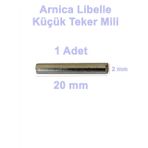Arnica Libella Fırçalı Turbo Başlık Küçük Tekerlek Mili (Eski Model Ep Tf Orjinal Yedek Parça)