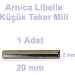 Arnica Libella Fırçalı Turbo Başlık Küçük Tekerlek Mili (Eski Model Ep Tf Yedek Parça)