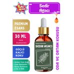 Aroma Terapi Lab Sedir Ağacı - Esansiyel Koku Yağı - Oda ve Ortam Kokusu - Aromatik Uçucu Yağ 30ML