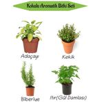 Aromatik Kokulu Mutfak Seti Adaçayı+kekik+biberiye+ıtır Çiçeği Fidesi 4 Adet