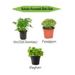 Aromatik Kokulu Mutfak Seti Itır Çiçeği+Fesleğen Fidanı+Reyahan Fidesi 3 Adet, BTS010NA0815