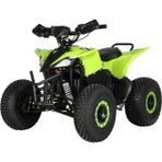 ARORA RAPTOR ELEKTRİKLİ MİNİ ATV