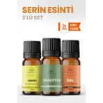 Aroviva Serin Esinti 3'lü Set – Buhurdanlık Yağı, Difüzör Esansı ve Esansiyel Uçucu Yağ (10ML x 3) - Çok Renkli - Yoğun Esans