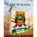 Arpa Unu