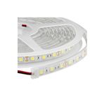 Arsvision Modalist Yeni Nesil Şerit Led Silikonlu Beyaz 5 Metre New Desinger 744636