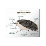 Art Hediye Kirpi Anatomisi Hedgehog Anatomy Baskılı 23x19 cm Mouse Pad