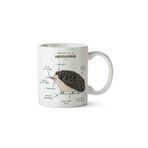 Art Hediye Kirpi Anatomisi Hedgehog Anatomy Kupa Bardak
