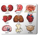 Art Hediye Organlar Vücut Organları Kalp Beyin Kemik Böbrek Baskılı 23x19 cm Mouse Pad