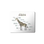 Art Hediye Zürafa Anatomi Giraffe Anatomy Baskılı 23x19 cm Mouse Pad