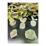 ART LİFE DOĞALTAŞ Natural Stones ART LİFE DOĞALTAŞ Natural Stones 300384 Kristal Kuvars Ham Doğal Taş (Büyük)