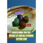 ART LİFE DOĞALTAŞ Natural Stones ART LİFE DOĞALTAŞ Natural Stones800814 Kabus Ve Uyku Sorunu Doğal Taş Tumble Seti (Ametist, Unakit, Akik, Aventurin)