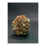 ART LİFE DOĞALTAŞ Natural Stones artlıfe1000390 Rudraksha Tohumu Hindistan Bileklik