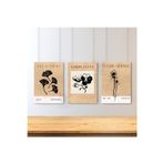 Artarilion 3'lü Set Kanvas Tablo Minimalist Boho Soyut Bitkiler Duvar Tablosu Salon Tablosu Bohemian Tablo