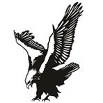 Artécora , Kartal Gökyüzündeki Asalet Metal Duvar Tablo