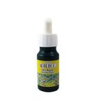 Artdeco 30 ML Yeşil 016B-13 Ebru Boyası