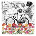 Artebella 5808V Home Design Kolay Transfer