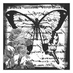 Artebella 5815V Home Design Kolay Transfer