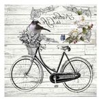 Artebella 5819V Home Design Kolay Transfer