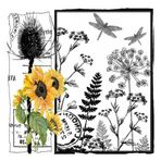 Artebella 5831V Home Design Kolay Transfer