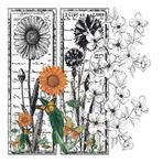 Artebella 5834V Home Design Kolay Transfer