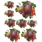 Artebella Kolay Transfer 1232V Ebru Boyası